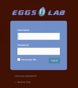 The new login page after login form customization